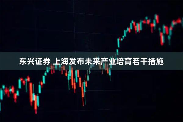 东兴证券 上海发布未来产业培育若干措施