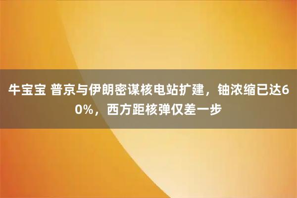 牛宝宝 普京与伊朗密谋核电站扩建，铀浓缩已达60%，西方距核弹仅差一步