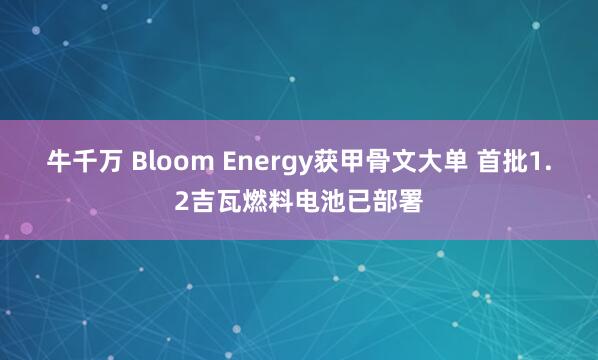 牛千万 Bloom Energy获甲骨文大单 首批1.2吉瓦燃料电池已部署