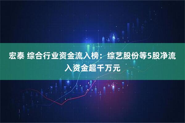宏泰 综合行业资金流入榜：综艺股份等5股净流入资金超千万元