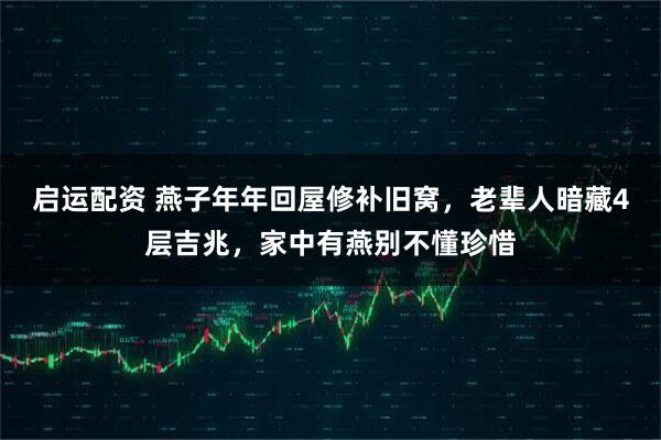 启运配资 燕子年年回屋修补旧窝,老辈人暗藏4层吉兆,家中有燕别不懂珍惜