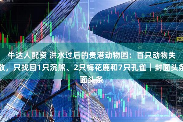 牛达人配资 洪水过后的贵港动物园:百只动物失散,只找回1只浣熊、2只梅花鹿和7只孔雀|封面头条