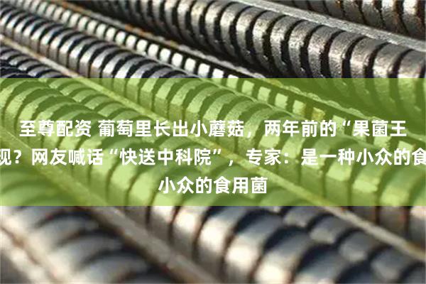 至尊配资 葡萄里长出小蘑菇，两年前的“果菌王”再现？网友喊话“快送中科院”，专家：是一种小众的食用菌